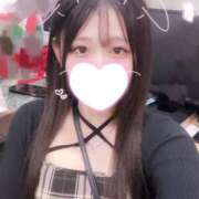 ヒメ日記 2026/07/06 00:09 投稿 ことり G-STAGE