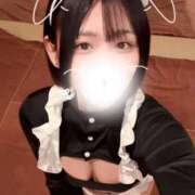 ヒメ日記 2026/07/08 12:29 投稿 ことり G-STAGE