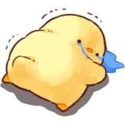 ヒメ日記 2026/07/14 00:59 投稿 ことり G-STAGE