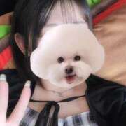 ヒメ日記 2026/07/14 13:39 投稿 ことり G-STAGE