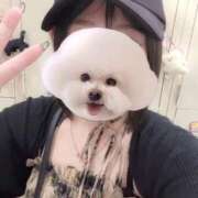 ヒメ日記 2026/07/26 12:49 投稿 ことり G-STAGE