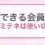 ヒメ日記 2026/08/01 19:09 投稿 ことり G-STAGE