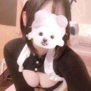 ヒメ日記 2026/08/15 07:19 投稿 ことり G-STAGE