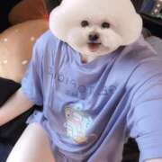 ヒメ日記 2026/08/19 16:59 投稿 ことり G-STAGE