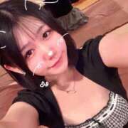 ヒメ日記 2026/08/24 06:18 投稿 ことり G-STAGE