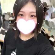 ヒメ日記 2026/08/26 11:49 投稿 ことり G-STAGE