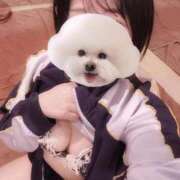 ヒメ日記 2026/09/05 07:29 投稿 ことり G-STAGE
