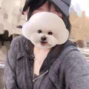 ヒメ日記 2026/09/13 12:39 投稿 ことり G-STAGE