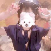 ヒメ日記 2026/09/15 16:49 投稿 ことり G-STAGE