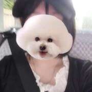 ヒメ日記 2026/09/28 13:49 投稿 ことり G-STAGE