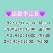 ヒメ日記 2025/01/28 12:04 投稿 ひばり 奥様特急　立川店