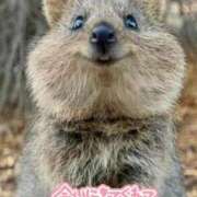 ヒメ日記 2025/02/08 07:34 投稿 ひばり 奥様特急　立川店