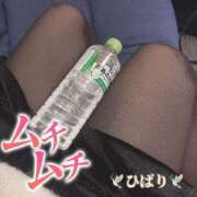 ヒメ日記 2025/02/15 14:14 投稿 ひばり 奥様特急　立川店