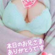 ヒメ日記 2025/01/20 02:17 投稿 【新人】るびー 神奈川小田原ちゃんこ