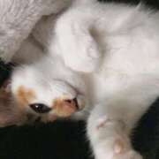 ヒメ日記 2025/02/13 14:18 投稿 りり おいらん(池袋)