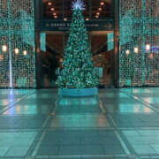 ヒメ日記 2025/03/13 19:26 投稿 りり おいらん(池袋)