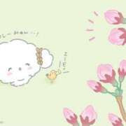 ヒメ日記 2025/03/27 02:08 投稿 りり おいらん(池袋)