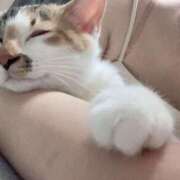 ヒメ日記 2025/04/05 18:53 投稿 りり おいらん(池袋)