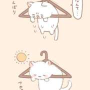 ヒメ日記 2025/07/09 16:41 投稿 りり おいらん(池袋)