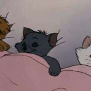 ヒメ日記 2025/12/10 18:45 投稿 りり おいらん(池袋)