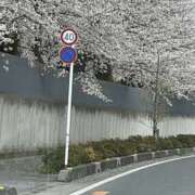 ヒメ日記 2025/04/07 19:32 投稿 くみ おいらん(池袋)