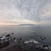 ヒメ日記 2025/11/12 07:15 投稿 山吹セイラ プラチナアロマ川越