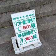 ヒメ日記 2025/11/13 07:22 投稿 山吹セイラ プラチナアロマ川越