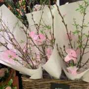 ヒメ日記 2025/02/05 07:33 投稿 Shizuku Tsukino ELEGANT－エレガント－