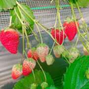 ヒメ日記 2025/02/20 15:21 投稿 Shizuku Tsukino ELEGANT－エレガント－