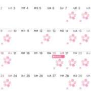 ヒメ日記 2025/02/24 13:28 投稿 Shizuku Tsukino ELEGANT－エレガント－