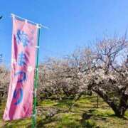 ヒメ日記 2025/03/07 08:22 投稿 Shizuku Tsukino ELEGANT－エレガント－