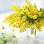 ヒメ日記 2025/03/08 14:15 投稿 Shizuku Tsukino ELEGANT－エレガント－