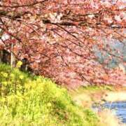 ヒメ日記 2025/03/09 21:12 投稿 Shizuku Tsukino ELEGANT－エレガント－