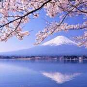 ヒメ日記 2025/03/20 07:16 投稿 Shizuku Tsukino ELEGANT－エレガント－