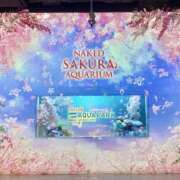 ヒメ日記 2025/04/06 08:16 投稿 Shizuku Tsukino ELEGANT－エレガント－