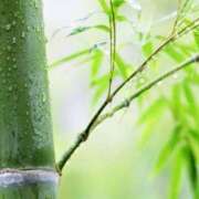 ヒメ日記 2025/05/04 07:27 投稿 Shizuku Tsukino ELEGANT－エレガント－