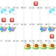 ヒメ日記 2025/05/30 08:59 投稿 Shizuku Tsukino ELEGANT－エレガント－