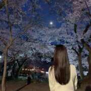 ヒメ日記 2025/09/19 22:45 投稿 Shizuku Tsukino ELEGANT－エレガント－