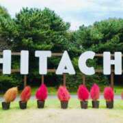 ヒメ日記 2025/11/05 23:31 投稿 Shizuku Tsukino ELEGANT－エレガント－