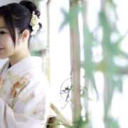 ヒメ日記 2026/01/28 17:07 投稿 Shizuku Tsukino ELEGANT－エレガント－