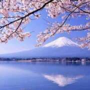 ヒメ日記 2026/02/23 07:45 投稿 Shizuku Tsukino ELEGANT－エレガント－