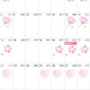 Shizuku Tsukino 🌸 ３月のシフト 🌸 ELEGANT－エレガント－