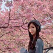 ヒメ日記 2026/03/11 22:31 投稿 Shizuku Tsukino ELEGANT－エレガント－