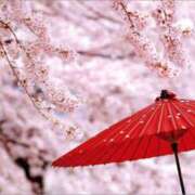 ヒメ日記 2026/03/20 08:15 投稿 Shizuku Tsukino ELEGANT－エレガント－