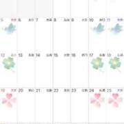 ヒメ日記 2026/03/25 22:10 投稿 Shizuku Tsukino ELEGANT－エレガント－