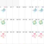 ヒメ日記 2026/03/30 09:02 投稿 Shizuku Tsukino ELEGANT－エレガント－