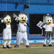 ヒメ日記 2026/04/03 00:15 投稿 Shizuku Tsukino ELEGANT－エレガント－