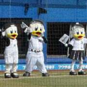 ヒメ日記 2026/04/03 07:02 投稿 Shizuku Tsukino ELEGANT－エレガント－