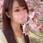 ヒメ日記 2026/04/06 00:56 投稿 Shizuku Tsukino ELEGANT－エレガント－