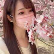 ヒメ日記 2026/04/06 04:00 投稿 Shizuku Tsukino ELEGANT－エレガント－